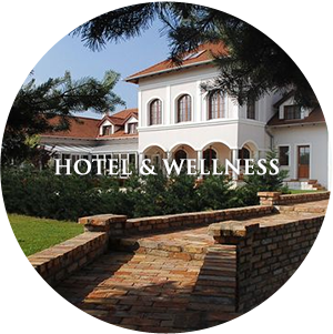 Bodrogi Kúria Wellness Hotel